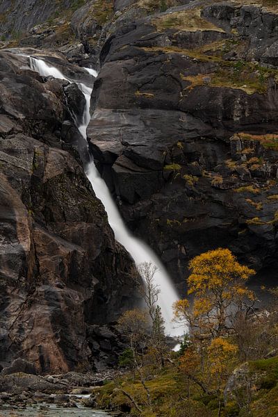 Herbstrost am Nykkjesøyfossen von Gerry van Roosmalen