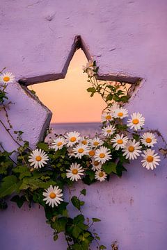 Bloemenframe in stervorm - Romantisch van Poster Art Shop