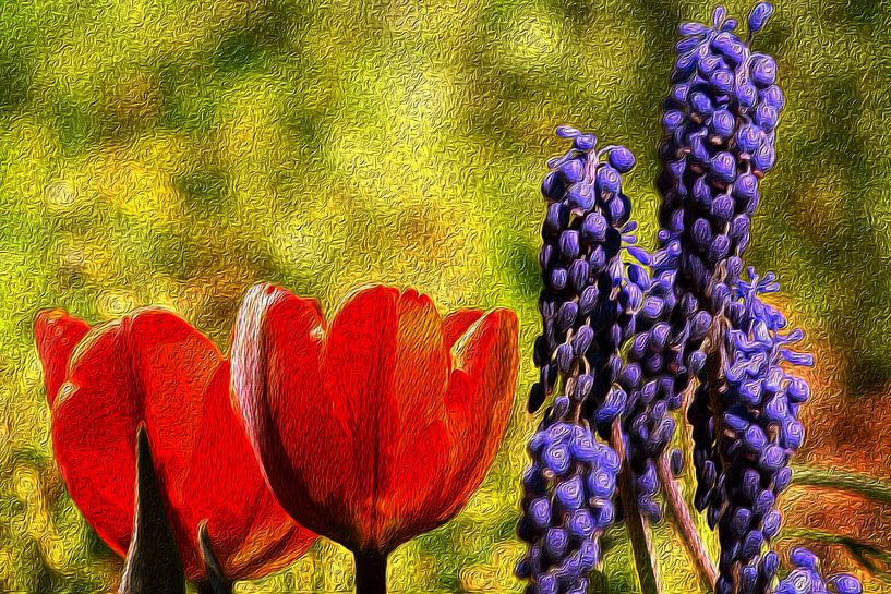DIGITAAL SCHILDERIJ : TULPEN EN DRUIFHYACINTEN van Photoart-Naegele