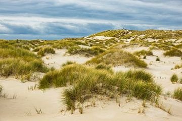 Landscape with dunes on the North Sea island Amrum van Rico Ködder