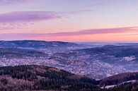 Korte wandeling bij zonsondergang naar de Ruppberg bij Zella-Mehlis - Thüringen - Duitsland van Oliver Hlavaty thumbnail