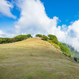 L'épisode de Madère : celui où il ressemblait au fond d'écran de Windows XP sur Bfec.nl