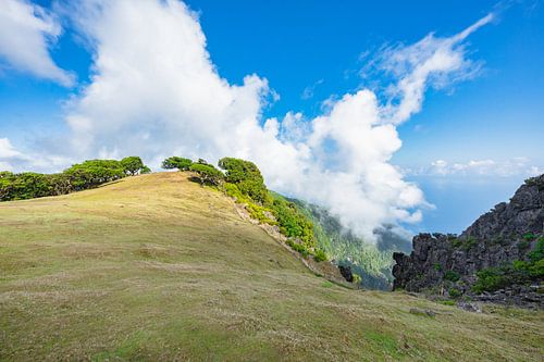 Madeira episode: The one where it looked liked the Windows XP wallpaper