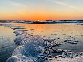 Ecume de mer sur la côte zélandaise