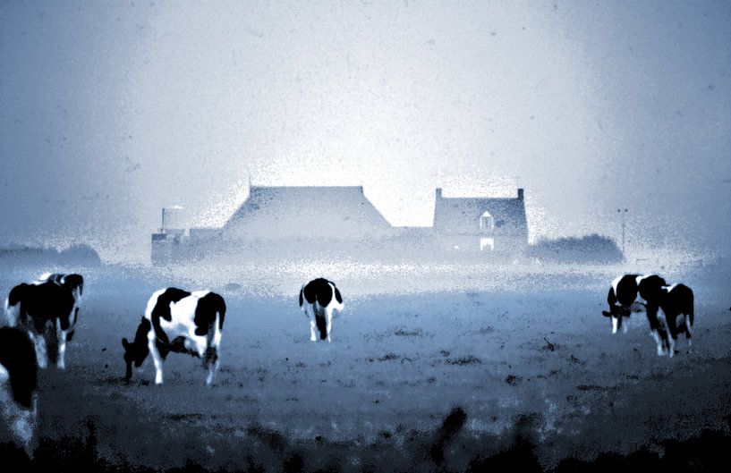 Ameland Buren landschap met koeien abstract van . Groningenart