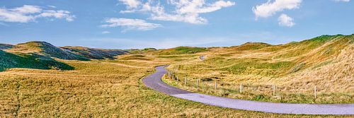 Norddünen zwischen Den Helder und Callantsoog