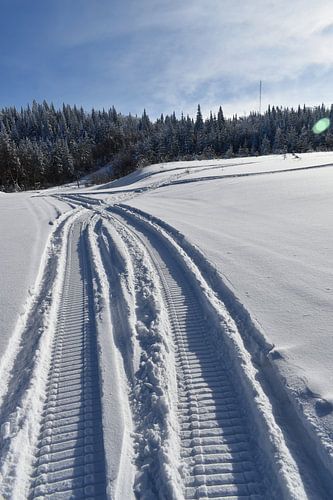 Eine Schneemobilspur auf einem Feld