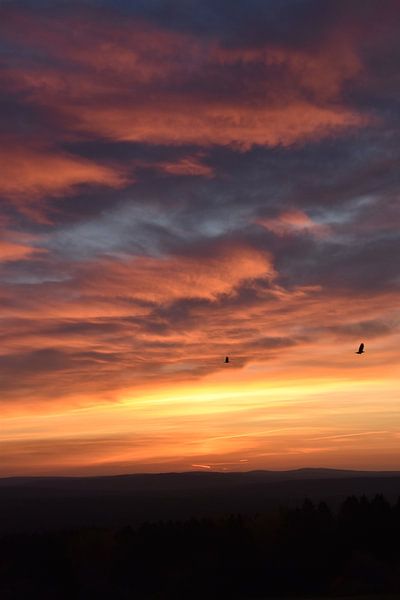 At the dawn of an autumn morning by Claude Laprise