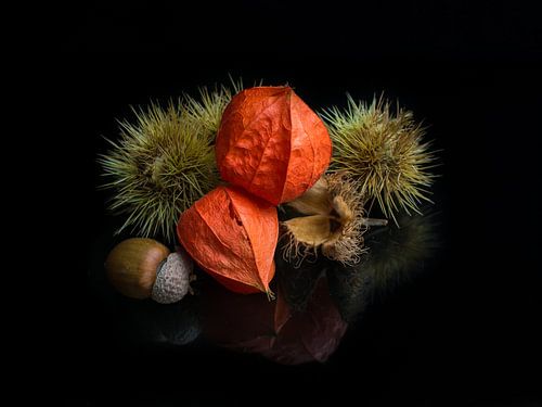 Herfst stilleven