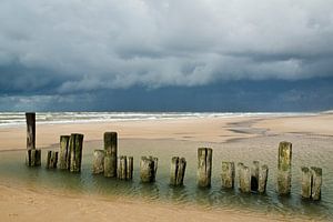 Landscape 'Dark clouds' van Greetje van Son