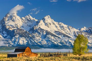 Mormon Row Barn, Grand Teton N.P, Wyoming. von Henk Meijer Photography