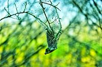 Hanging in There