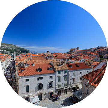 Dubrovnik van Roy Poots