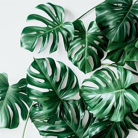 Monstera von Poster Art Shop