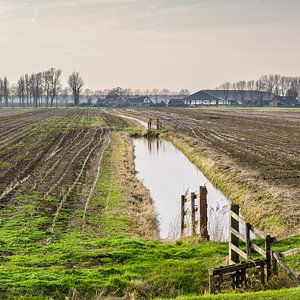Paysage de polders avec ferme