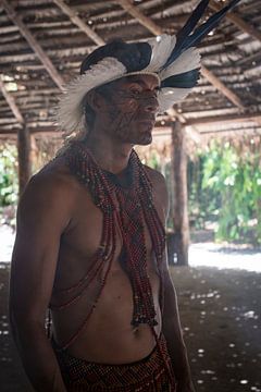 Pataxo chief (Brazil) by Frank Alberti