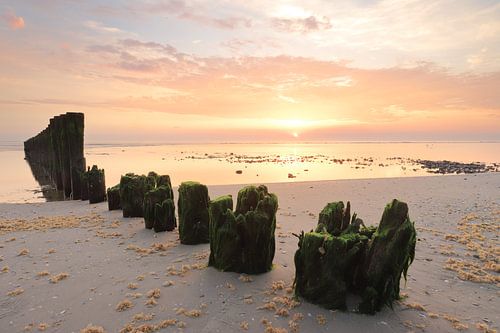 Palenrij Hollum bij zonsondergang