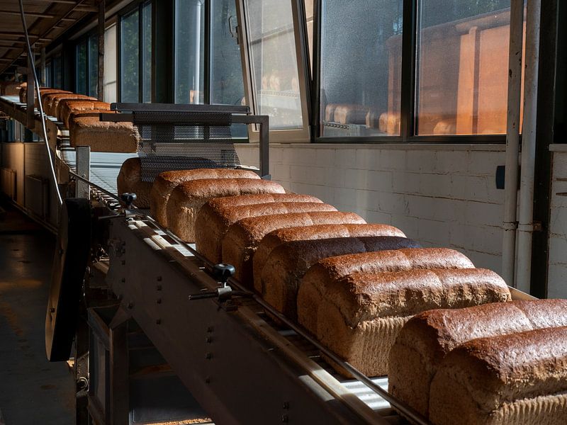 Breads in a factory on the assembly line by Robin Jongerden