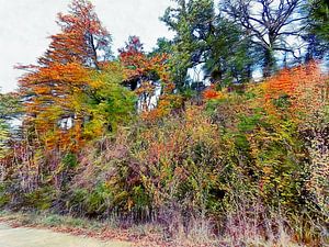 Natural Autumn Abstract
