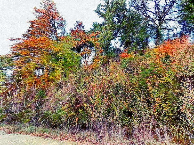 Natural Autumn Abstract by Dorothy Berry-Lound