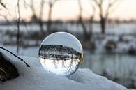 Sunrise with a lens ball in the snow by Daphne Dorrestijn thumbnail
