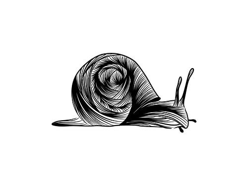 Poster Slak - Fine line Illustratie - Zwart wit - Herfst