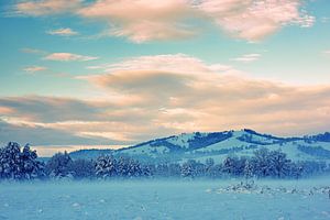 Winterabend von Dimislava Todorova