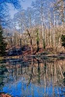 Weerspiegeling