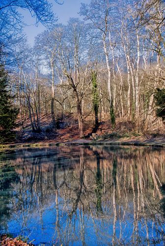 Weerspiegeling