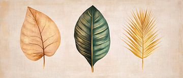 Colours of autumn - Leaves Trio by Poster Art Shop