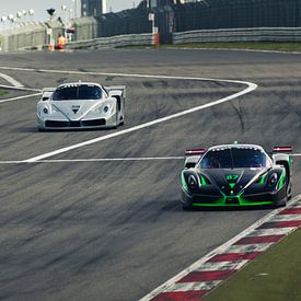 Ferrari FXX van Thijs Oorschot