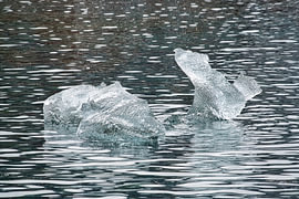 Translucent iceberg by Frank's Awesome Travels
