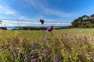 Groß Zicker, Blick zum Klein Zicker, den Zicker See und die Ostsee, Rügen