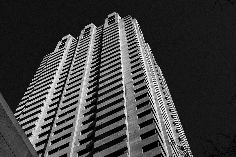 A view from the ground | Rotterdam | The Netherlands Travel Photography by Dohi Media