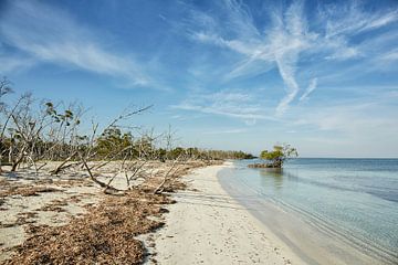 Der schöne weiße Sandstrand von Cayo Levisa, Kuba. von Tjeerd Kruse