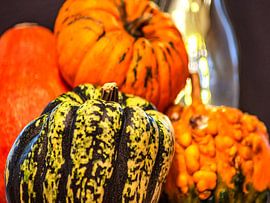 CONCEPT AUTOMNE : DES CITROUILLES EN OCTOBRE sur Photoart-Naegele