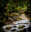 Below the trees von Ruud Peters Miniaturansicht