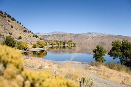 More in the United States by Ingeborg van Bruggen