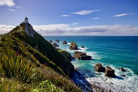 On the Edge of New Zealand by Laura Krol