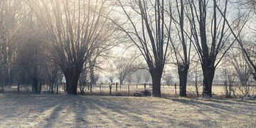 Prachtig Vlaams Landschap bij Denderbelle, België van Imladris Images