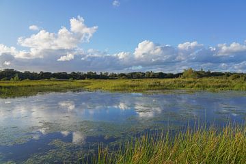 Natuur met water en wolken van Dirk van Egmond