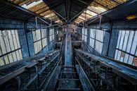 Up and down by Anthony Damen thumbnail