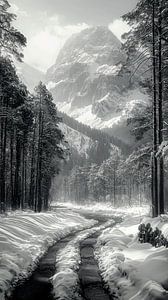 Verschneiter Pfad