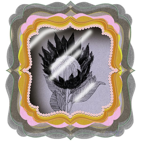 PROTEA GIFT BOX | serie | NO.1 van XHOZUCAN 