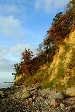 Boddenküste Rügens von Ostsee Bilder