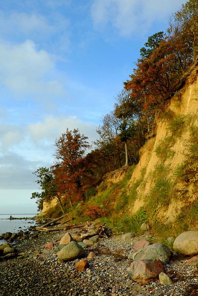 Boddenküste Rügens van Ostsee Bilder