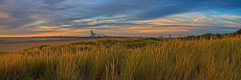 Sunset Port of Zeebrugge by Dirk Maes