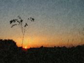 Sonnenuntergang von Maurice Dawson Miniaturansicht