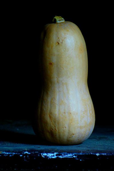 De pompoen van Niek Traas
