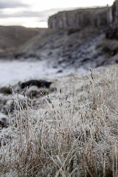 Iceland by Eric van Nieuwland